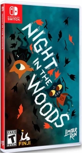 Night in The Woods