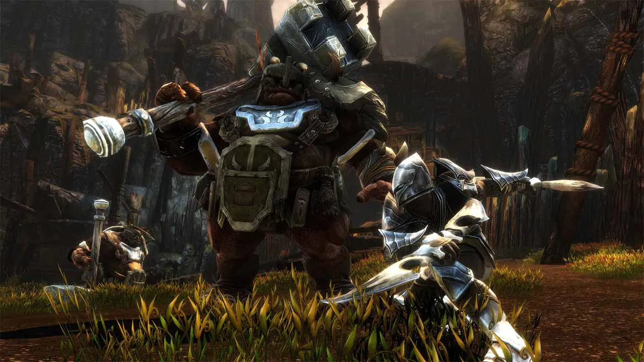 Kingdoms Of Amalur Re-Reckoning - zrzut ekranu 1